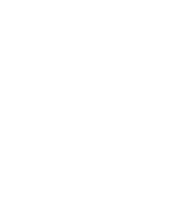 Mỹ Thuật Cường Đan